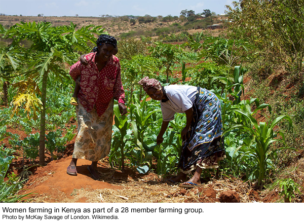 Kenya women farmers