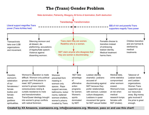 Trans (Gender) Problem Chart