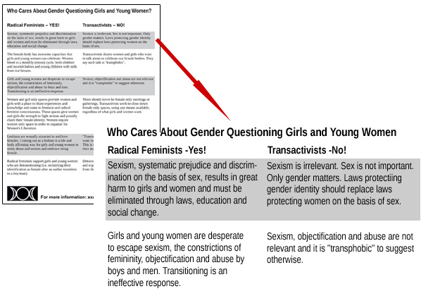 Who Cares About Gender Questioning Girls and Young Women?