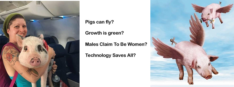 Pigs Can Fly? Growth is Green?