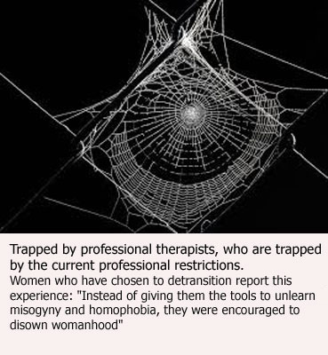 Spider web showing trap of professional therapist who themselves are trapped by their professions'judgments