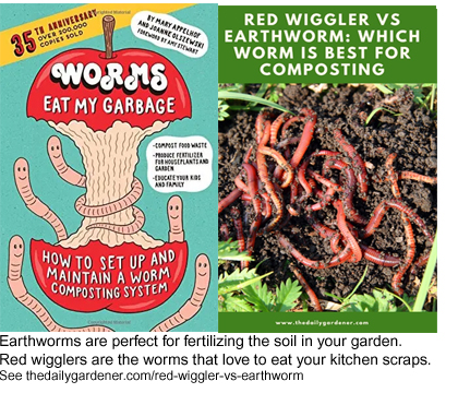 Red wigglers eat your food scraps. Earthworms improve the soil in your garden.