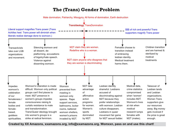 The (Trans)Gender Problem Chart